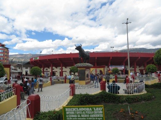 Lugar de la "Marcha por la Poesía" Coso Taurino. Foto MJV